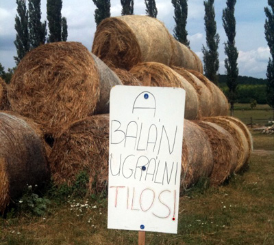 A Bálán ugrálni tilos!